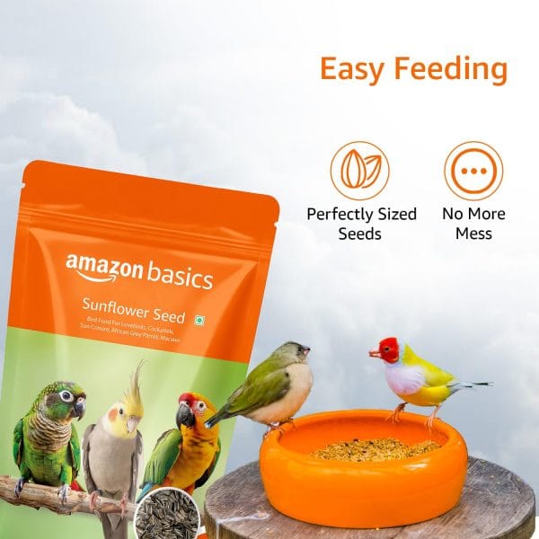 Amazon Basics Sunflower Seeds Bird Food - Pack of 2 - Image 5