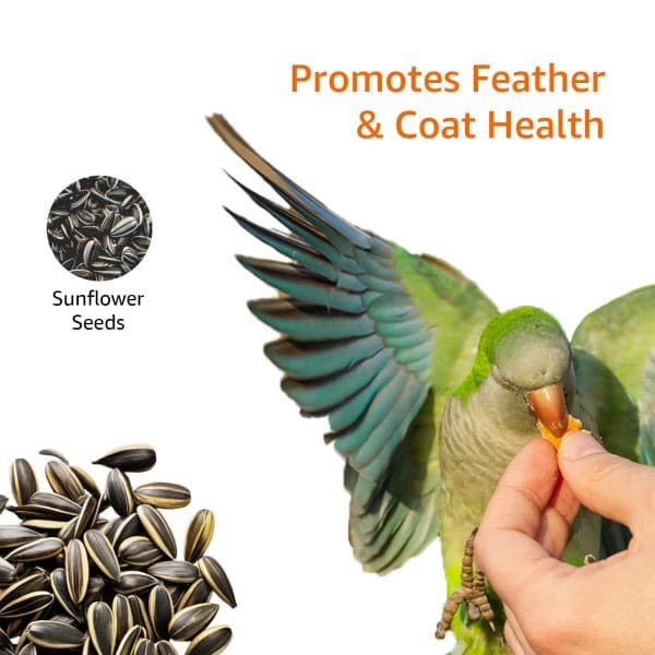 Amazon Basics Sunflower Seeds Bird Food - Pack of 2 - Image 2
